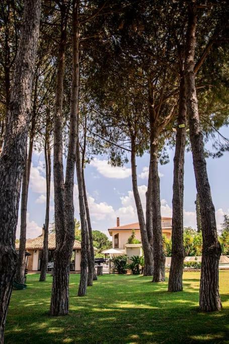 Villa Laoconte Piscina, Jacuzzi E Biliardo Canicattì Exterior foto